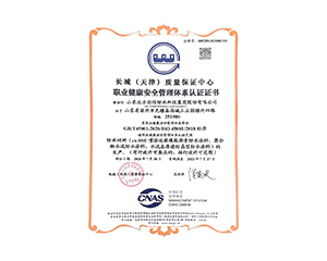 职业健全安全治理系统认证